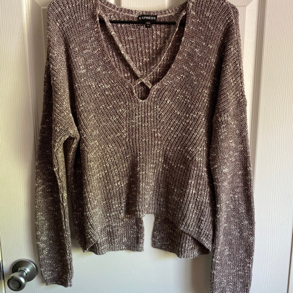 Express cropped sweater